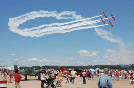 cherry-flies-point-skies